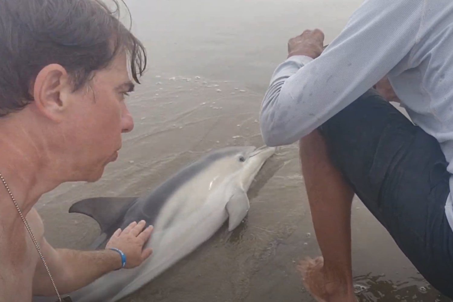 Influencer Rescata Delfin