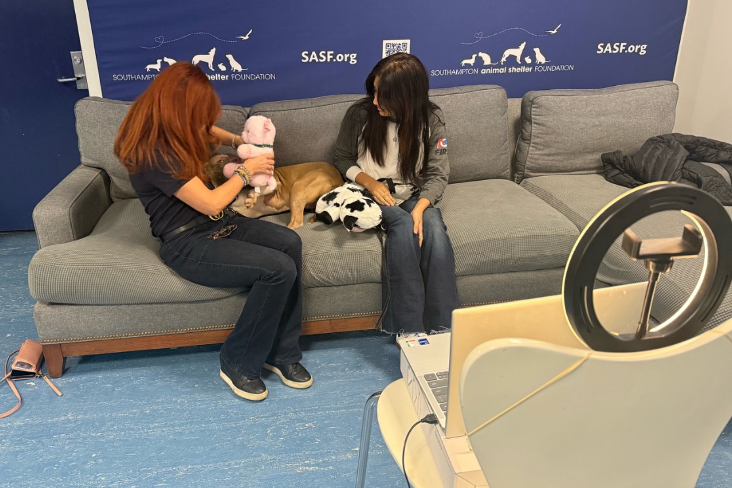 Protesis 3d Perro Rescatado