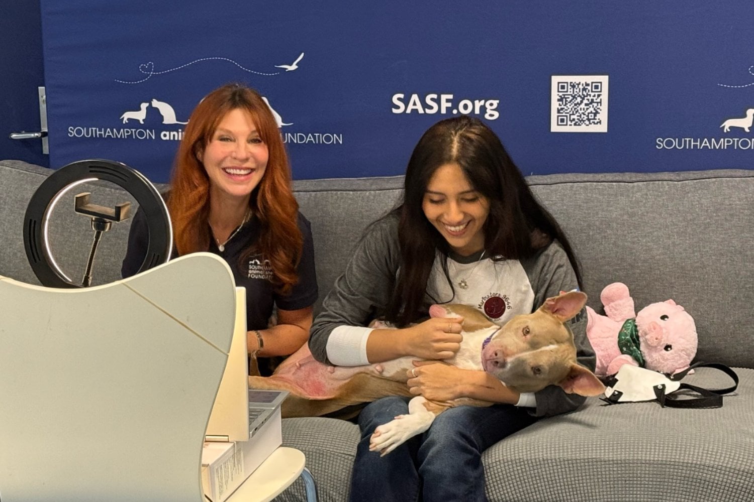 Protesis 3d Perro Rescatado