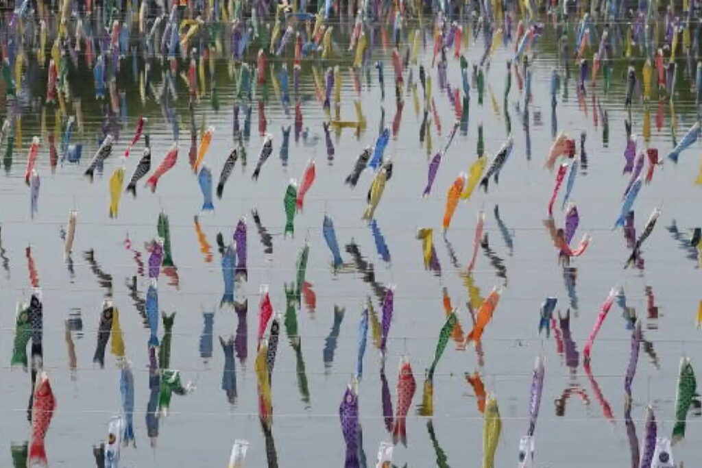 El misterioso fenómeno de los peces que caen del cielo: ¿milagro, ciencia o algo más?