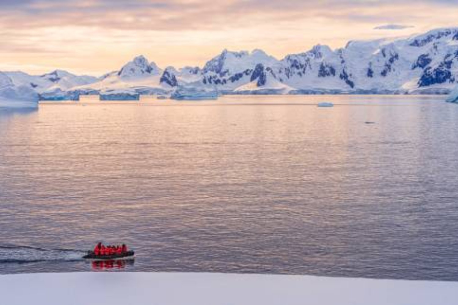 Terror y misterio en la base antártica: ¿Amenaza interna o paranoia colectiva?