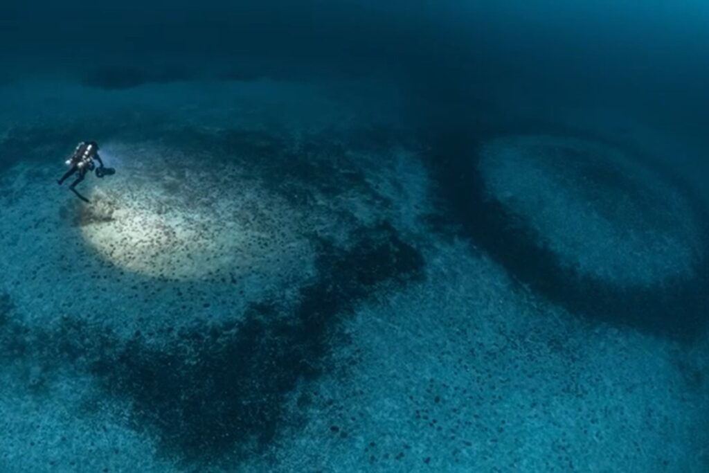Círculos ocultos en el Mediterráneo: el enigma submarino que desconcierta a la ciencia