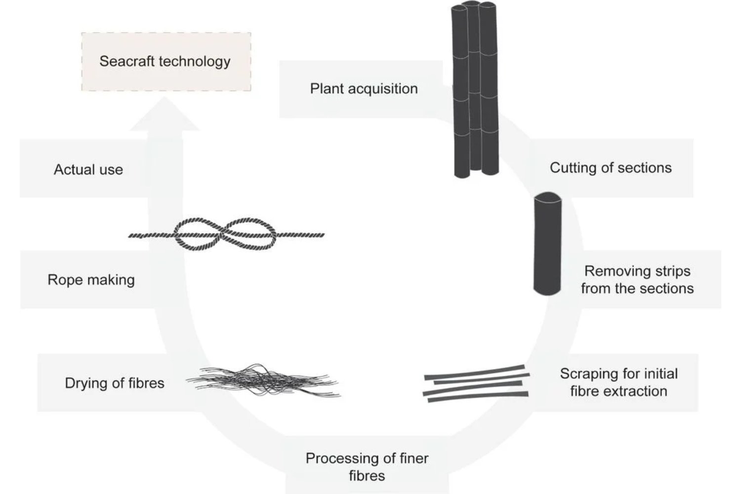 El hallazgo que desafía la historia: herramientas antiguas revelan tecnología avanzada en la navegación prehistórica