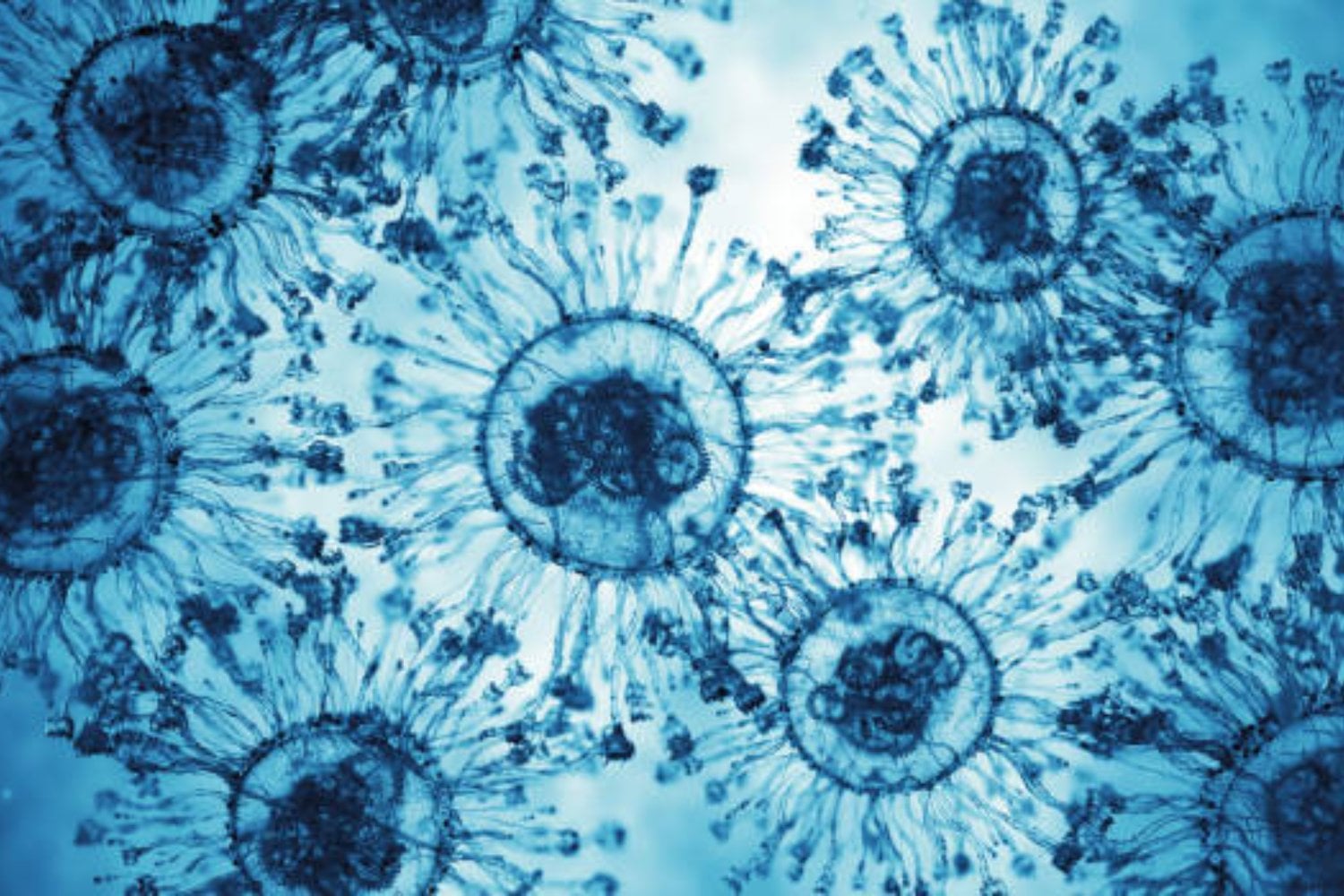 ¿Covid-19 salió de un laboratorio? Nueva evidencia sacude la versión oficial