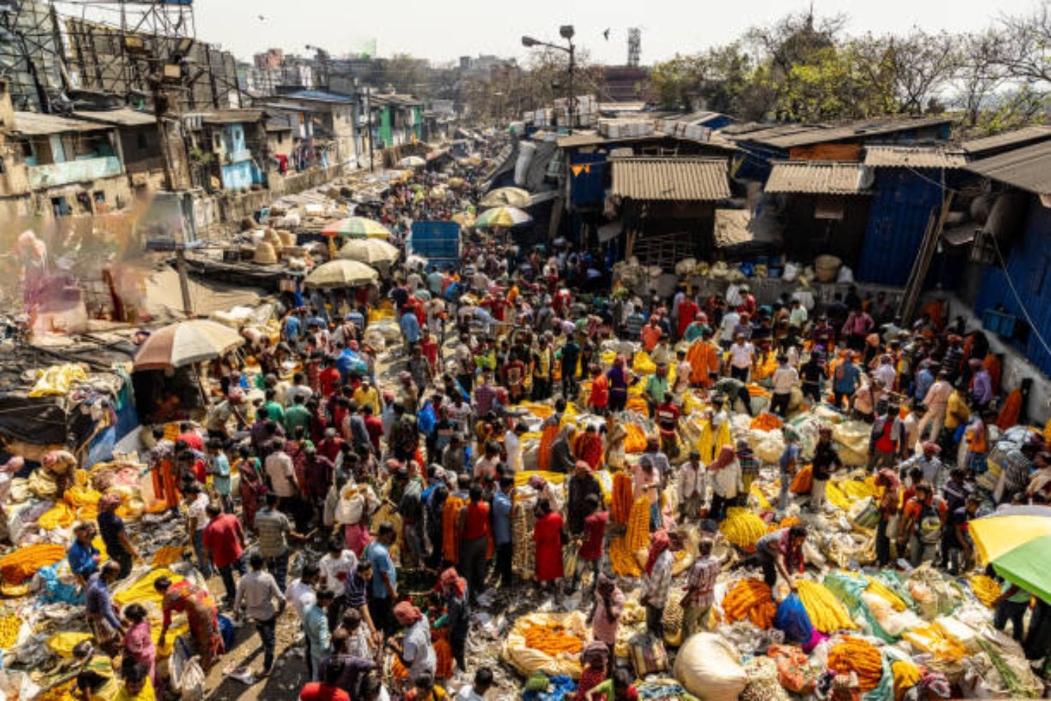 ¿Cuál es el país más poblado del mundo? Un cambio inesperado en el liderazgo demográfico