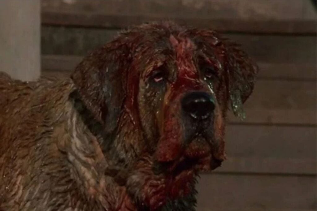 Diseño Sin Título 2025 03 19t105204.489