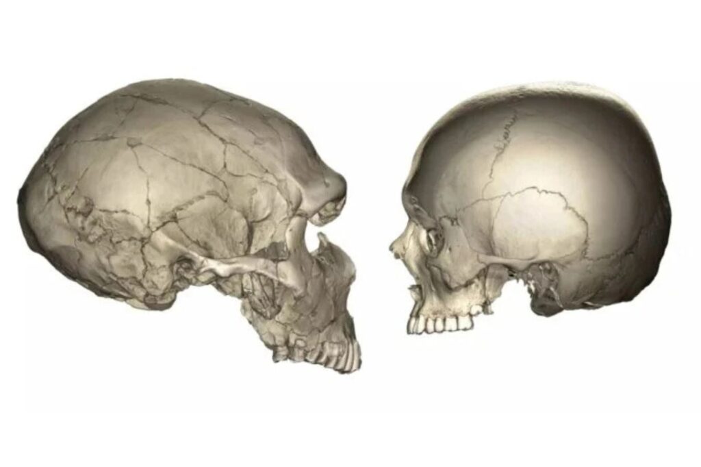 Diseño Sin Título 2025 03 28t165827.460