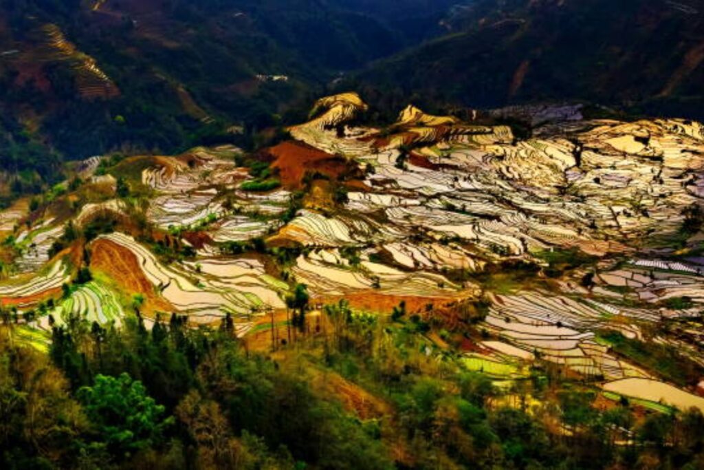 Una serpiente desconocida emerge en las montañas de China: ¿qué esconde esta nueva especie?