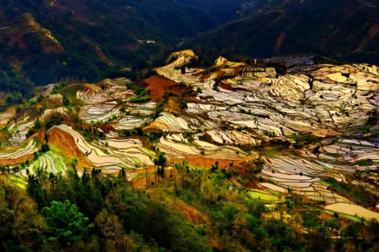 Una serpiente desconocida emerge en las montañas de China: ¿qué esconde esta nueva especie?