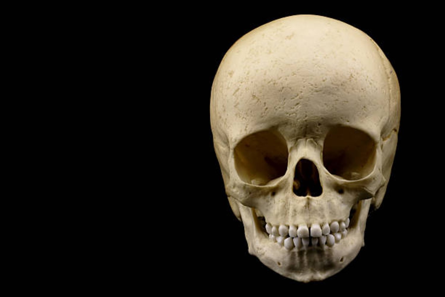 El enigmático niño de 250.000 años que desafía todo lo que sabíamos sobre la evolución humana