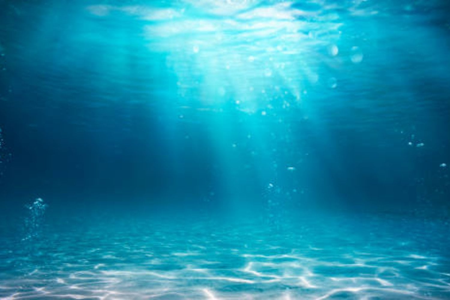 El misterioso freno del fondo marino que pudo cambiar el nivel del mar y el clima