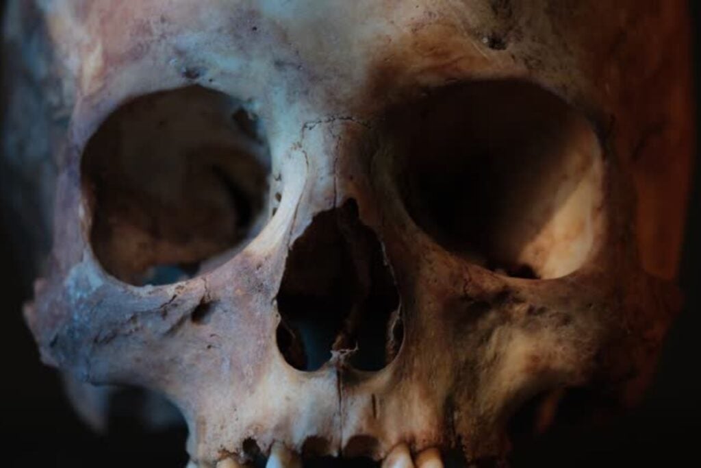 El enigmático niño de 250.000 años que desafía todo lo que sabíamos sobre la evolución humana