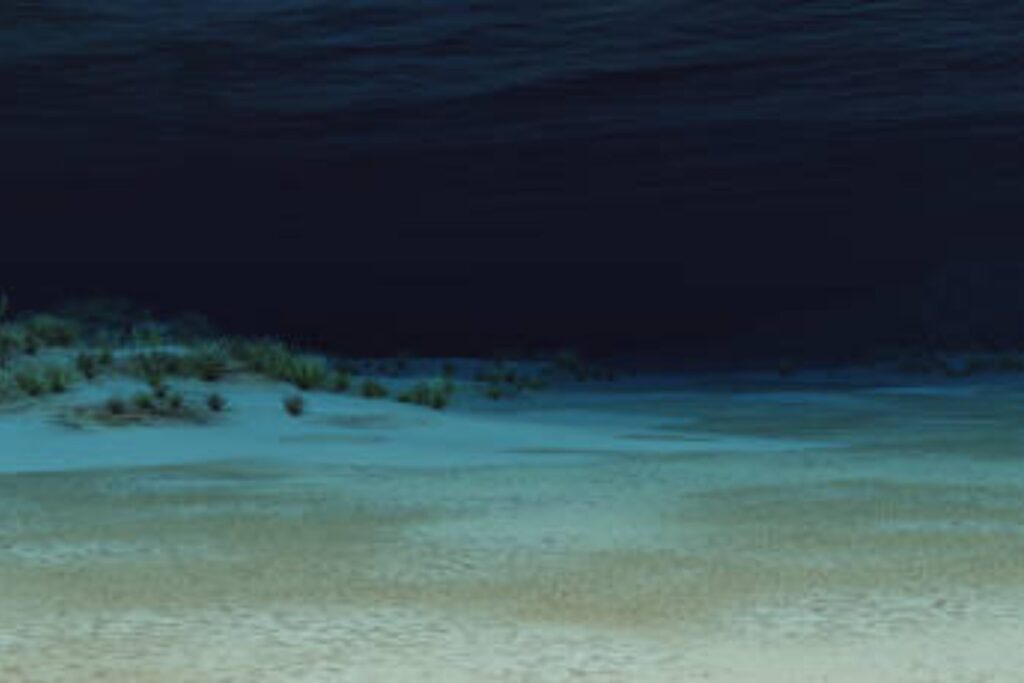 El misterioso freno del fondo marino que pudo cambiar el nivel del mar y el clima
