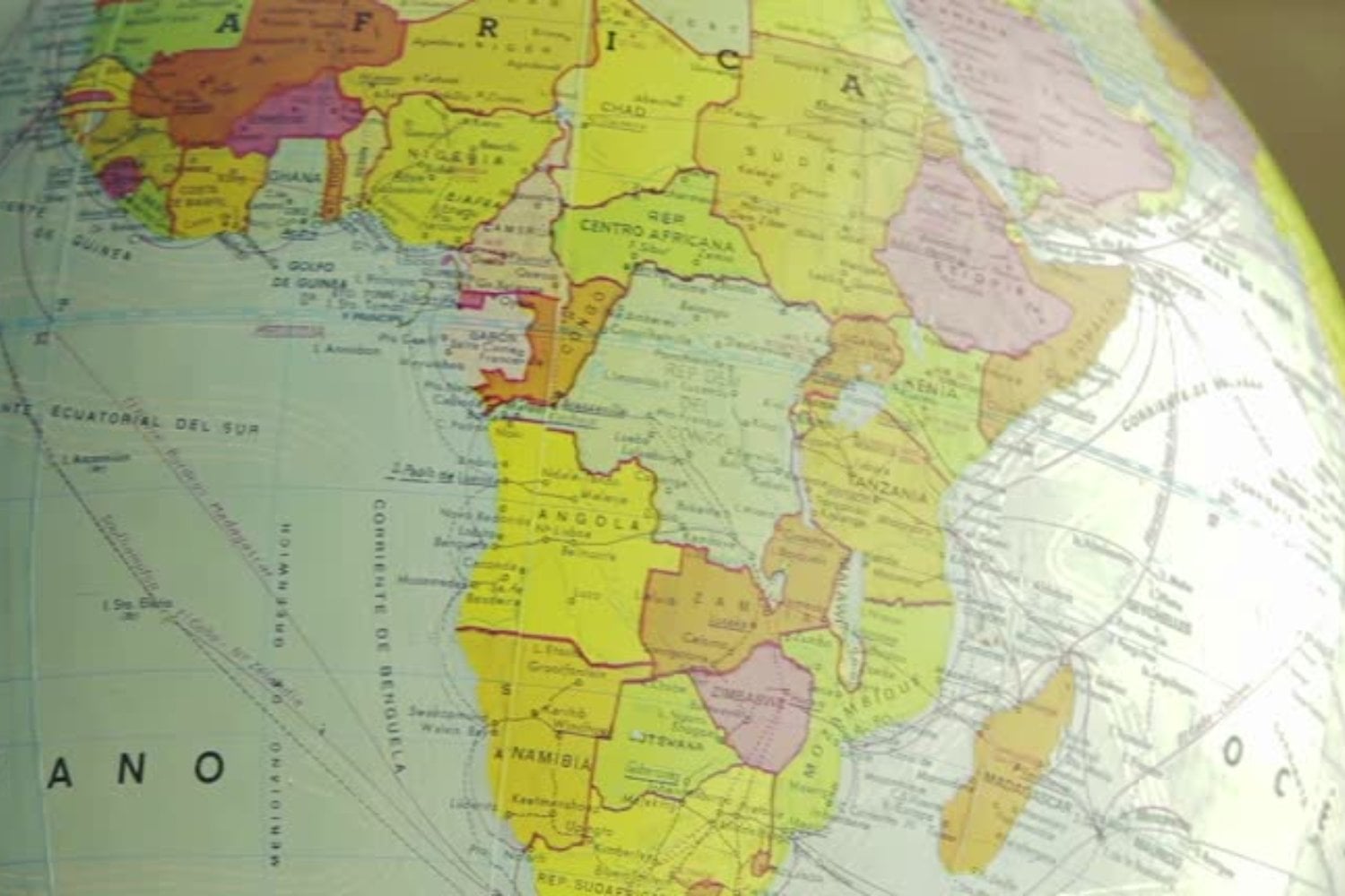 Árbol genealógico: ¿De dónde viene tu apellido? Esta web lo revela en segundos y gratis