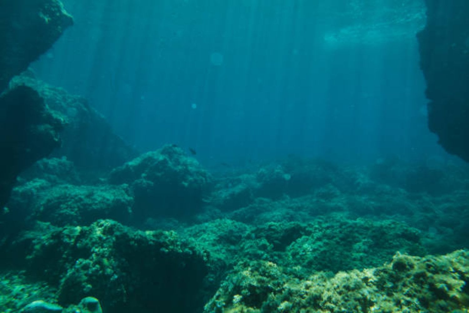 Más desconocido que la Luna: el ambicioso proyecto que está revelando los secretos del lecho marino