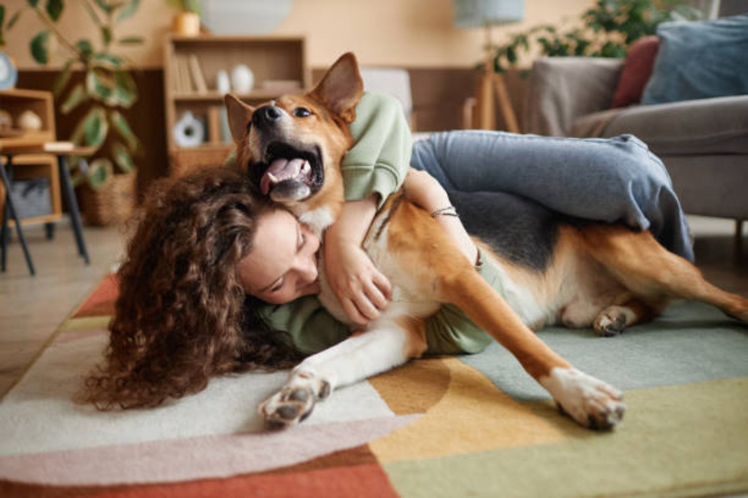 Argentina, El país que lidera el amor por las mascotas: una sorpresa sudamericana encabeza el ranking global