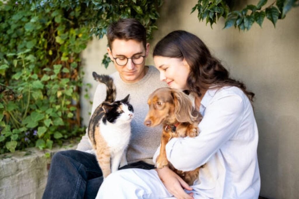 Argentina, El país que lidera el amor por las mascotas: una sorpresa sudamericana encabeza el ranking global