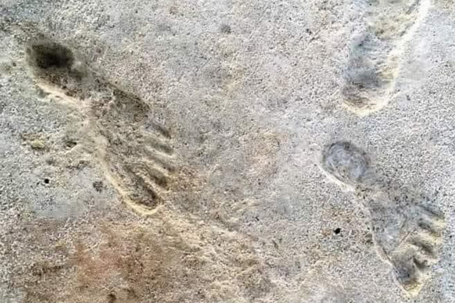 Las huellas que no deberían existir: el hallazgo que desafía la historia humana en América