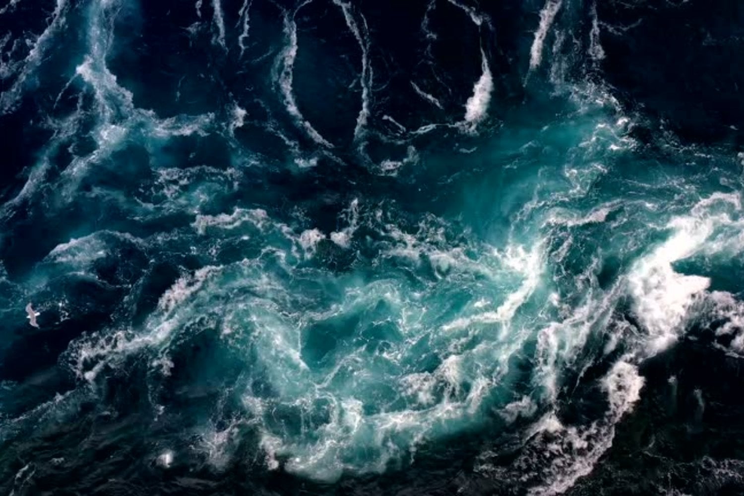 Las cinco zonas del océano que revelan un mundo desconocido bajo las aguas