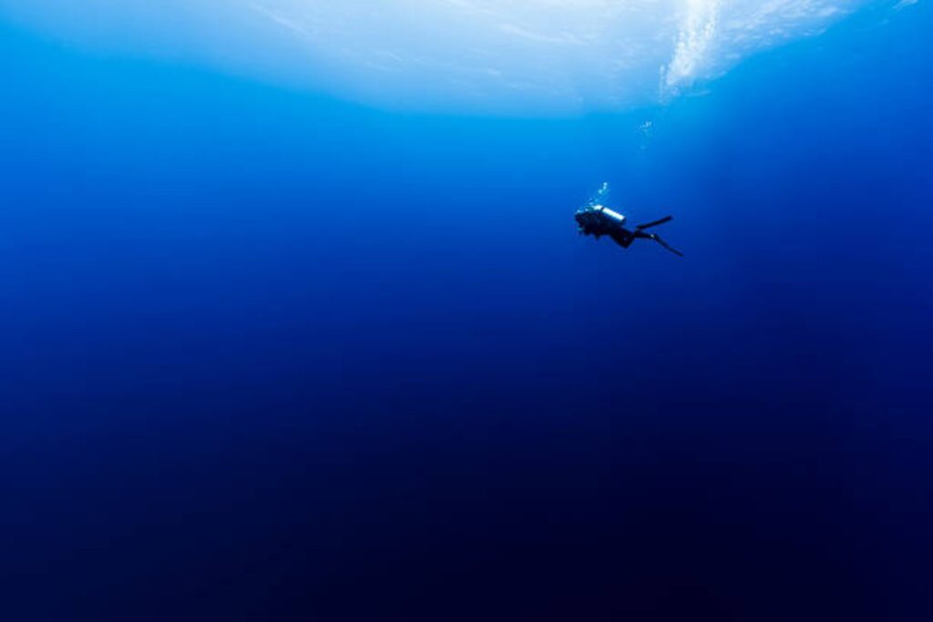 Las cinco zonas del océano que revelan un mundo desconocido bajo las aguas