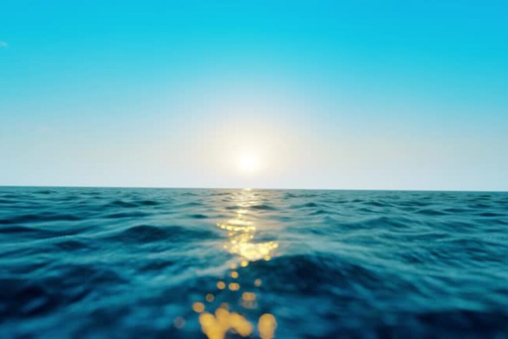 Hallan un depredador desconocido en las profundidades del océano: sobrevive a 8.000 metros bajo el mar