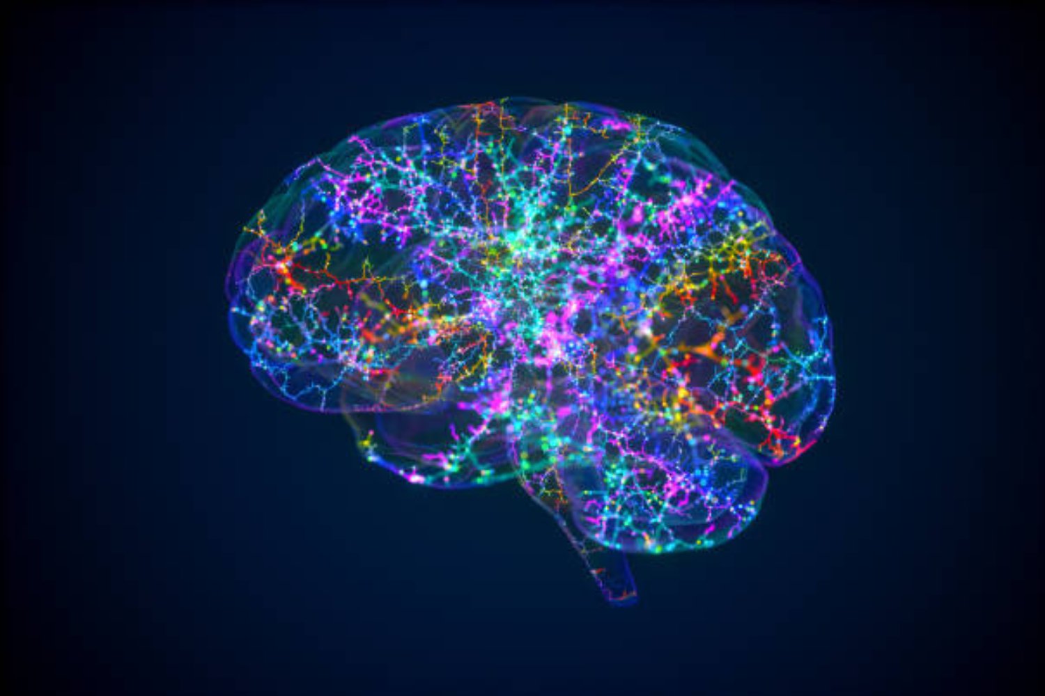 La primera computadora con neuronas humanas: qué puede hacer y por qué genera tanta controversia