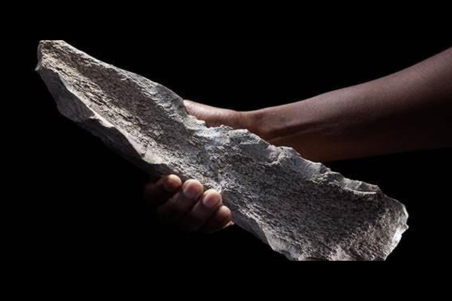 Un hallazgo inesperado cambia la historia: la misteriosa caja de herramientas de 1,5 millones de años
