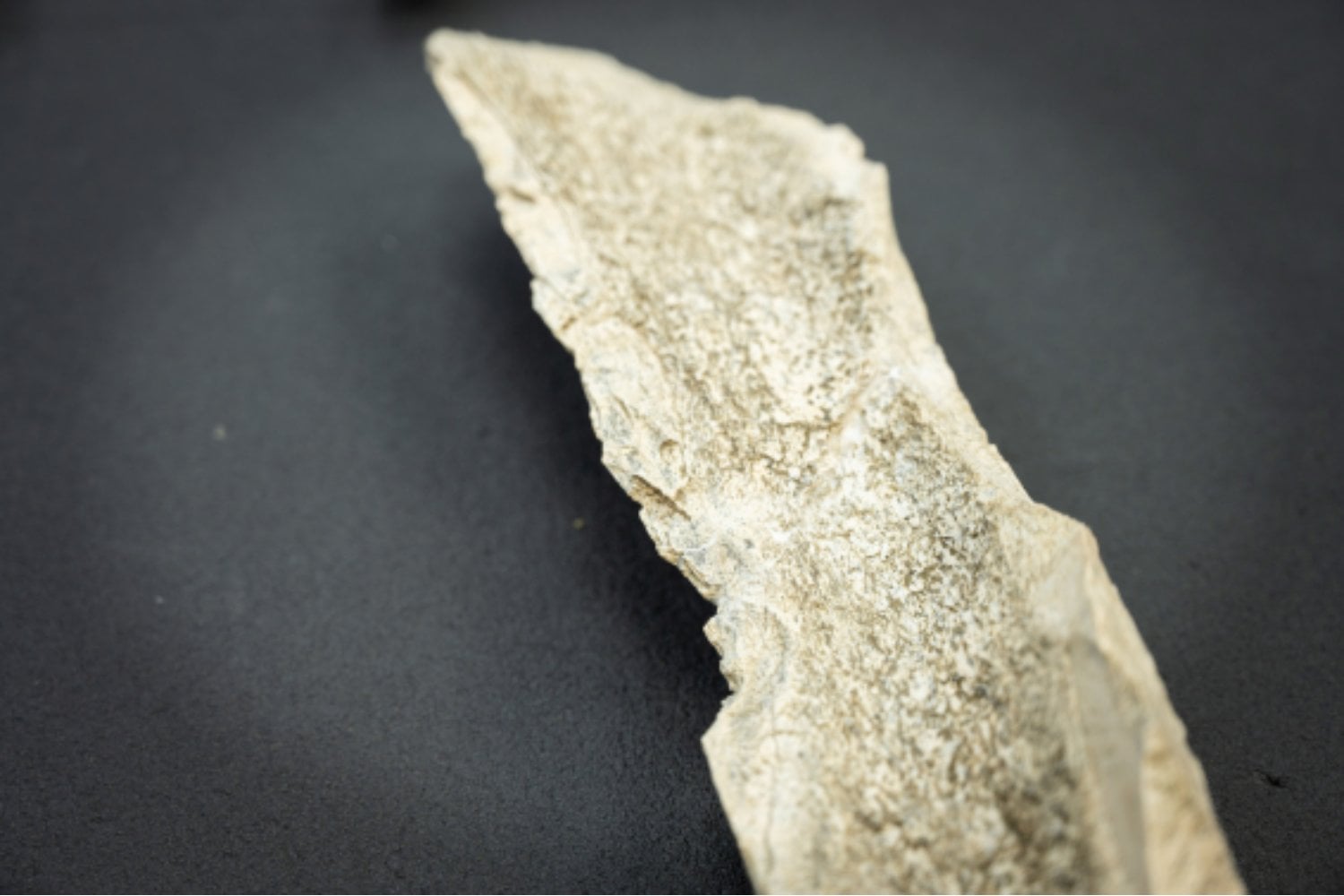 Un hallazgo inesperado cambia la historia: la misteriosa caja de herramientas de 1,5 millones de años