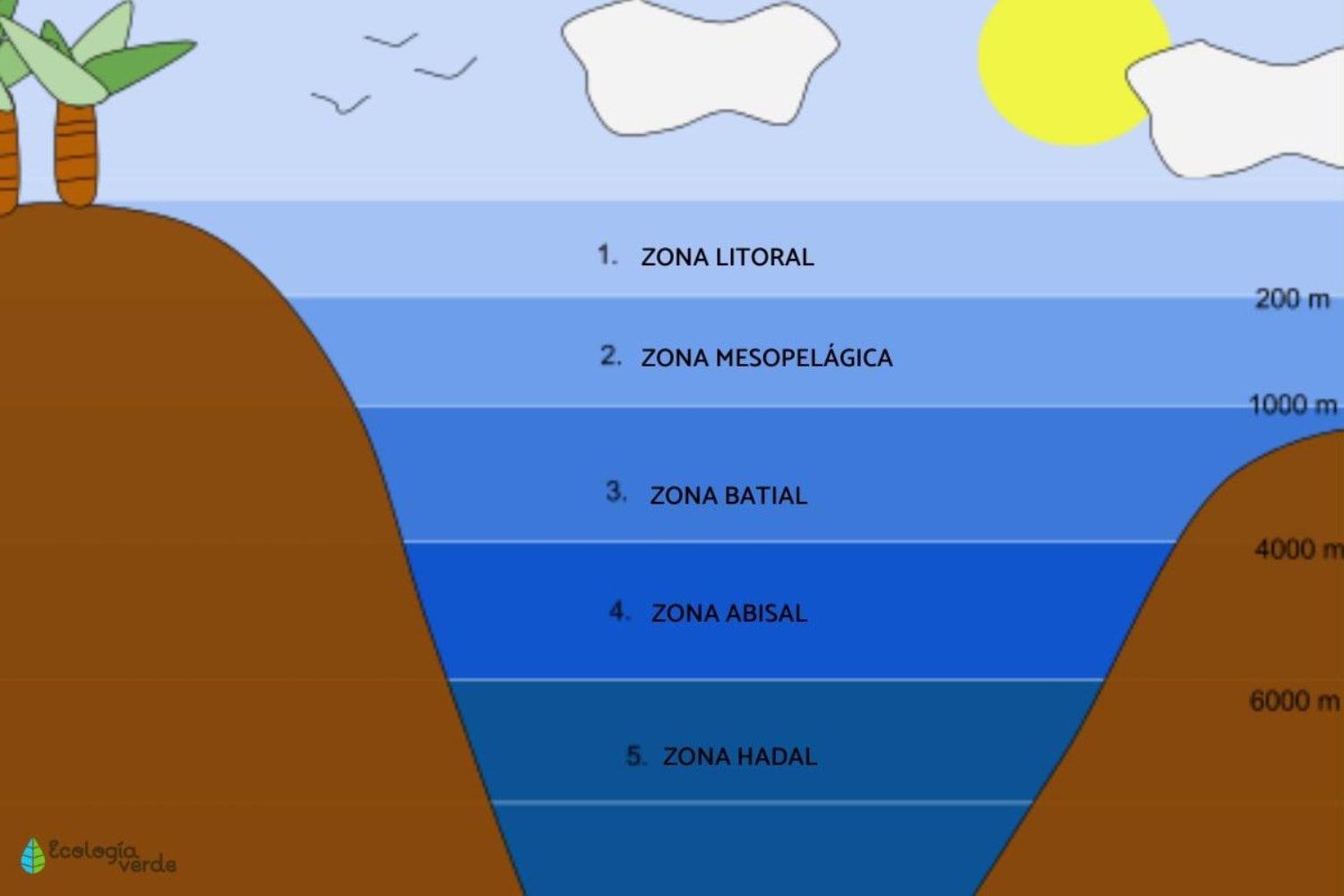 Las cinco zonas del océano que revelan un mundo desconocido bajo las aguas