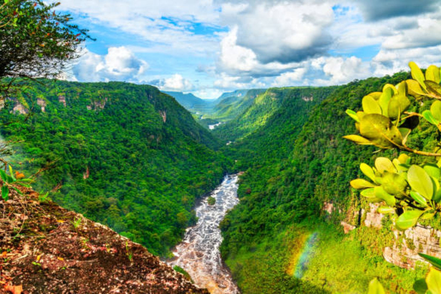 El pequeño país latino que está superando a gigantes económicos sin que nadie lo vea venir: Guyana
