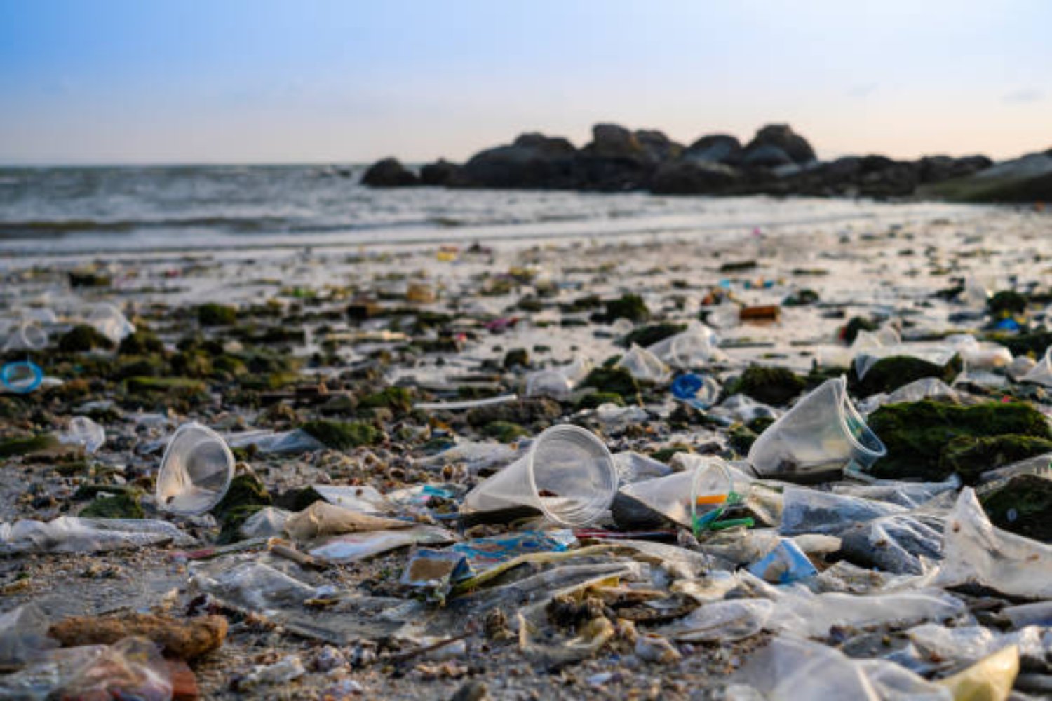 El secreto del plástico que desaparece en el mar: un avance japonés que cambiará todo