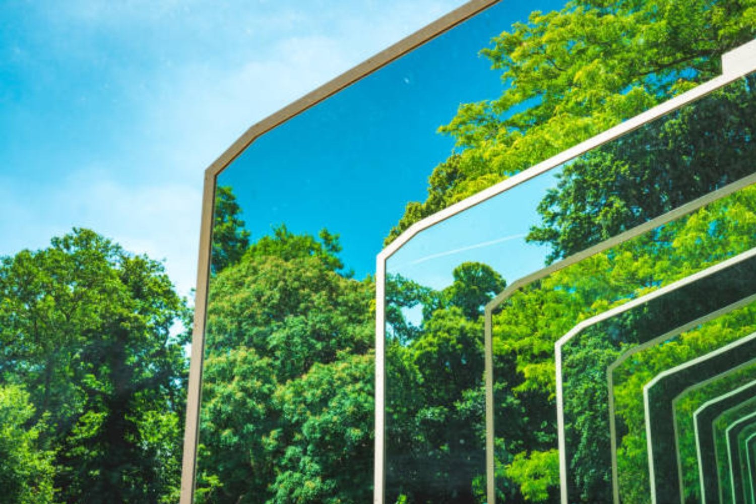 ¿Un peligroso experimento? Por qué los científicos abandonan la idea de crear ‘vida espejo’