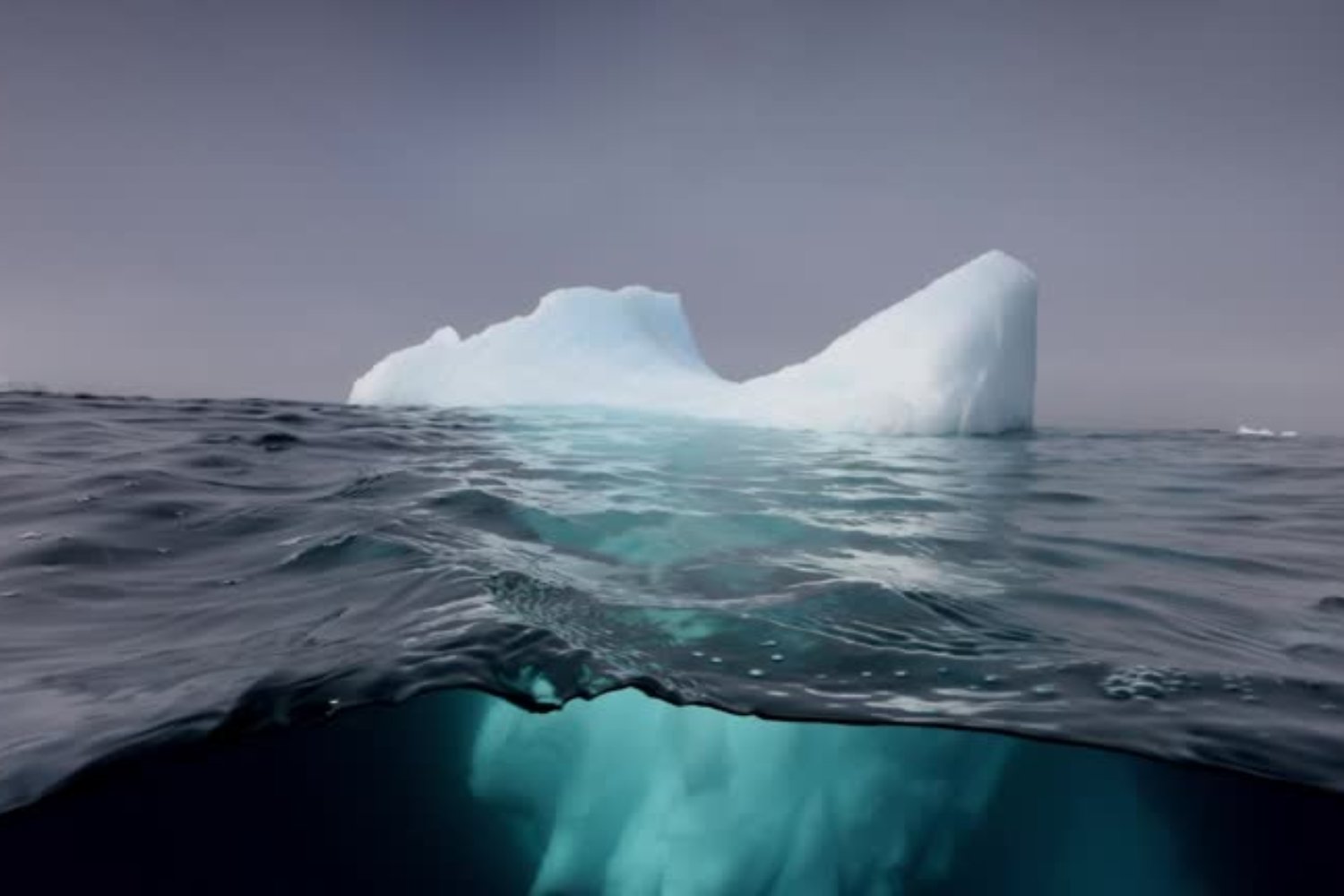 El descubrimiento bajo el iceberg que dejó a los científicos sin palabras: ¿Qué encontraron bajo el hielo antártico?
