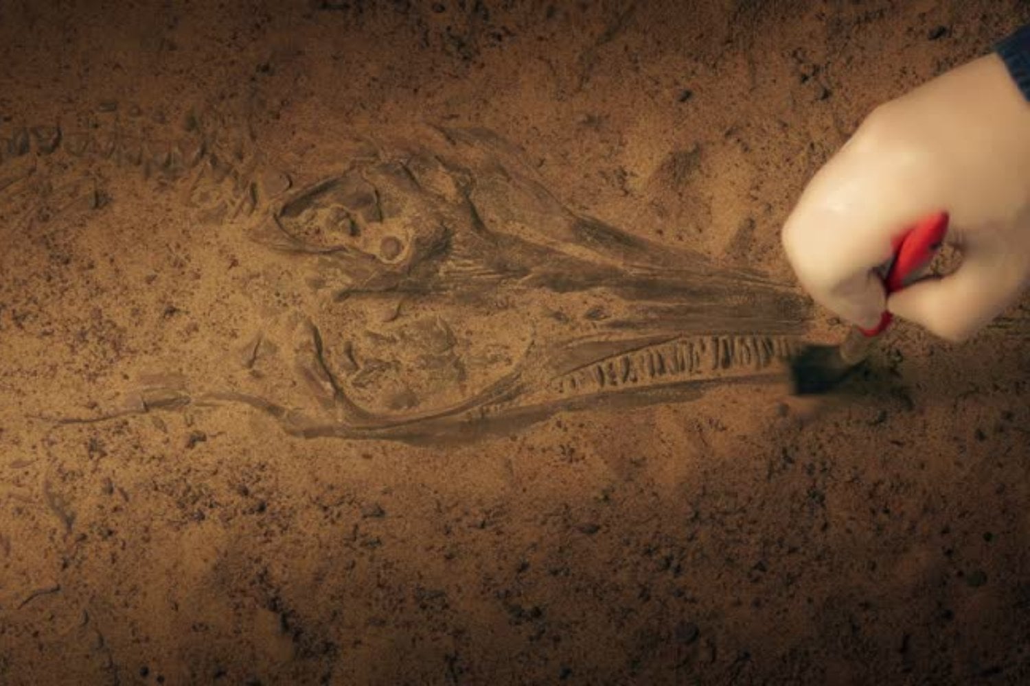 Descubren en China un escorpión prehistórico gigante: habitó la Tierra hace 125 millones de años