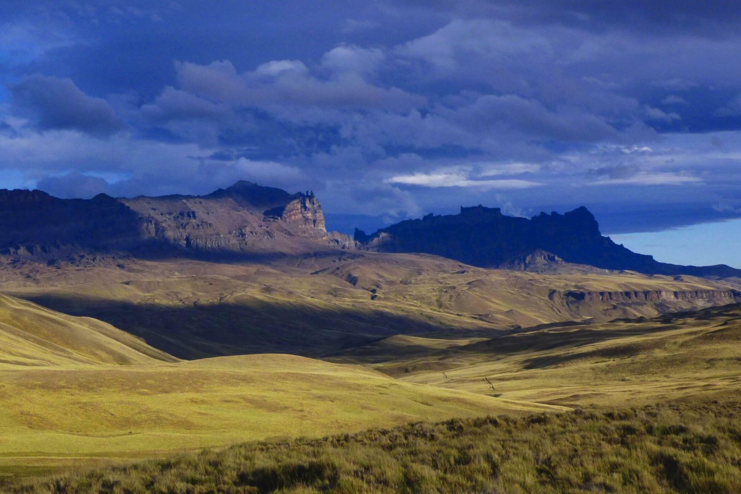 El millonario secreto de la Patagonia: ¿Por qué un empresario qatarí compró 10.000 hectáreas para un megaproyecto?