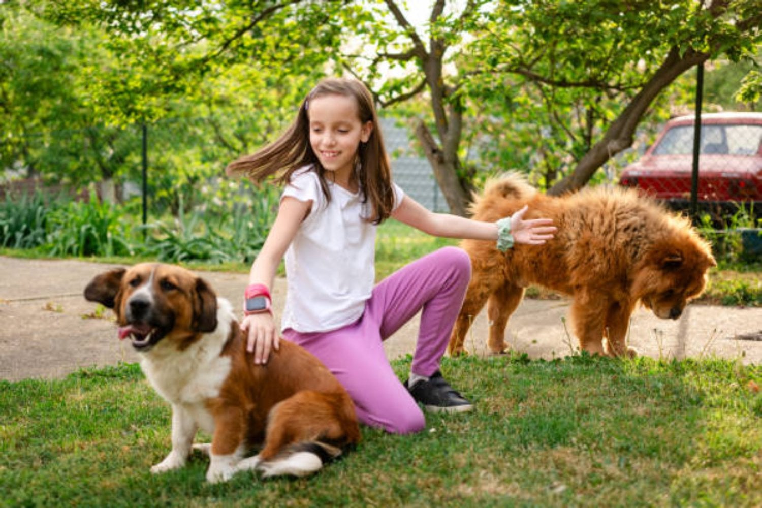 El inesperado giro evolutivo que cambiará a los perros tal como los conocemos