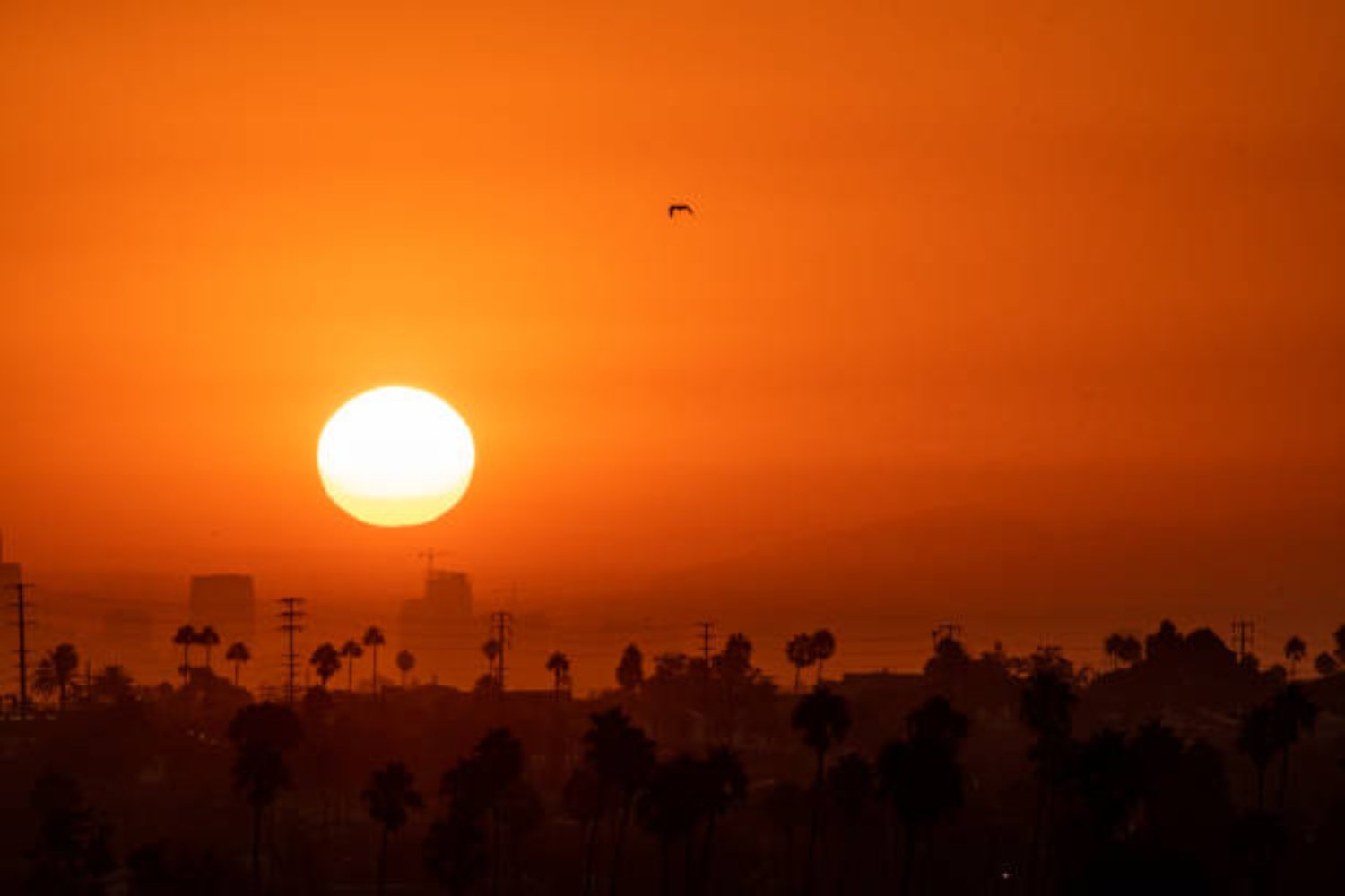 ¿Zonas inhabitables por el calor? Lo peor aún no ha llegado