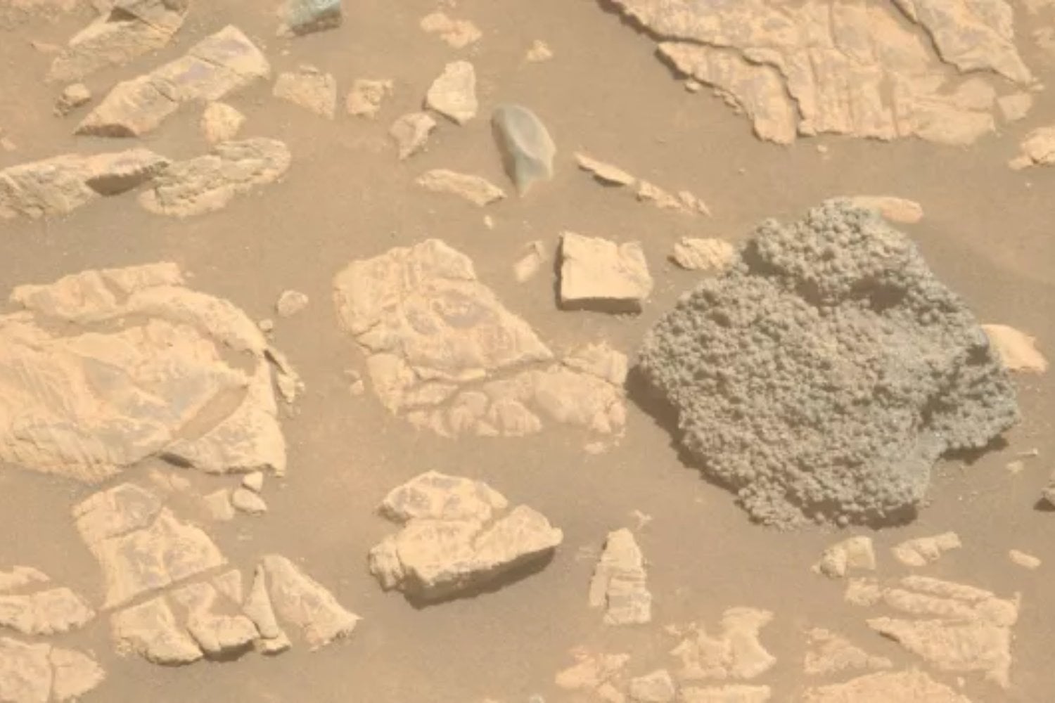 Un misterioso hallazgo en Marte: la roca de las esferas que desconcierta a la NASA