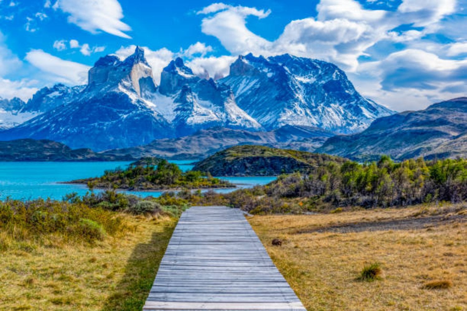 El millonario secreto de la Patagonia: ¿Por qué un empresario qatarí compró 10.000 hectáreas para un megaproyecto?