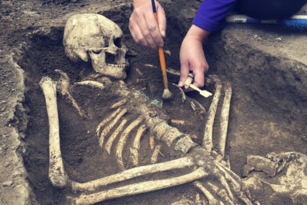 ¿Realmente descendemos de Adán y Eva? El nuevo estudio que cambia la historia de la humanidad