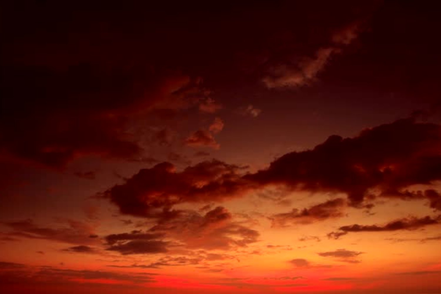 Por qué el cielo cambia de color naranja al amanecer y al atardecer: la ciencia detrás del fenómeno