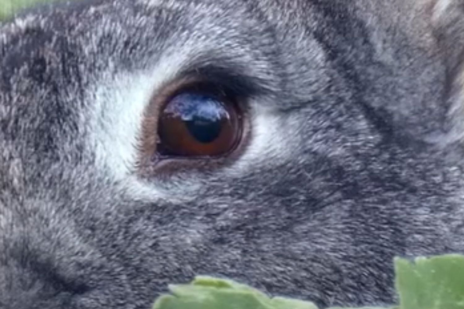 Diseño Sin Título (51)