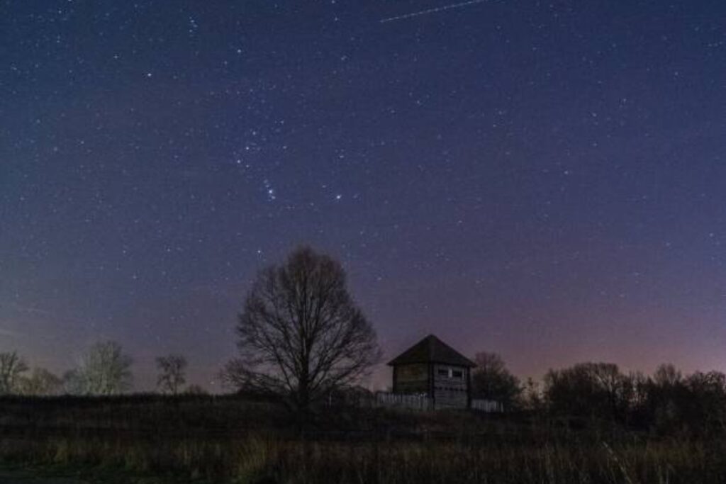 ¿Elon Musk decidirá el destino de Ucrania? Polonia amenaza con cancelar Starlink