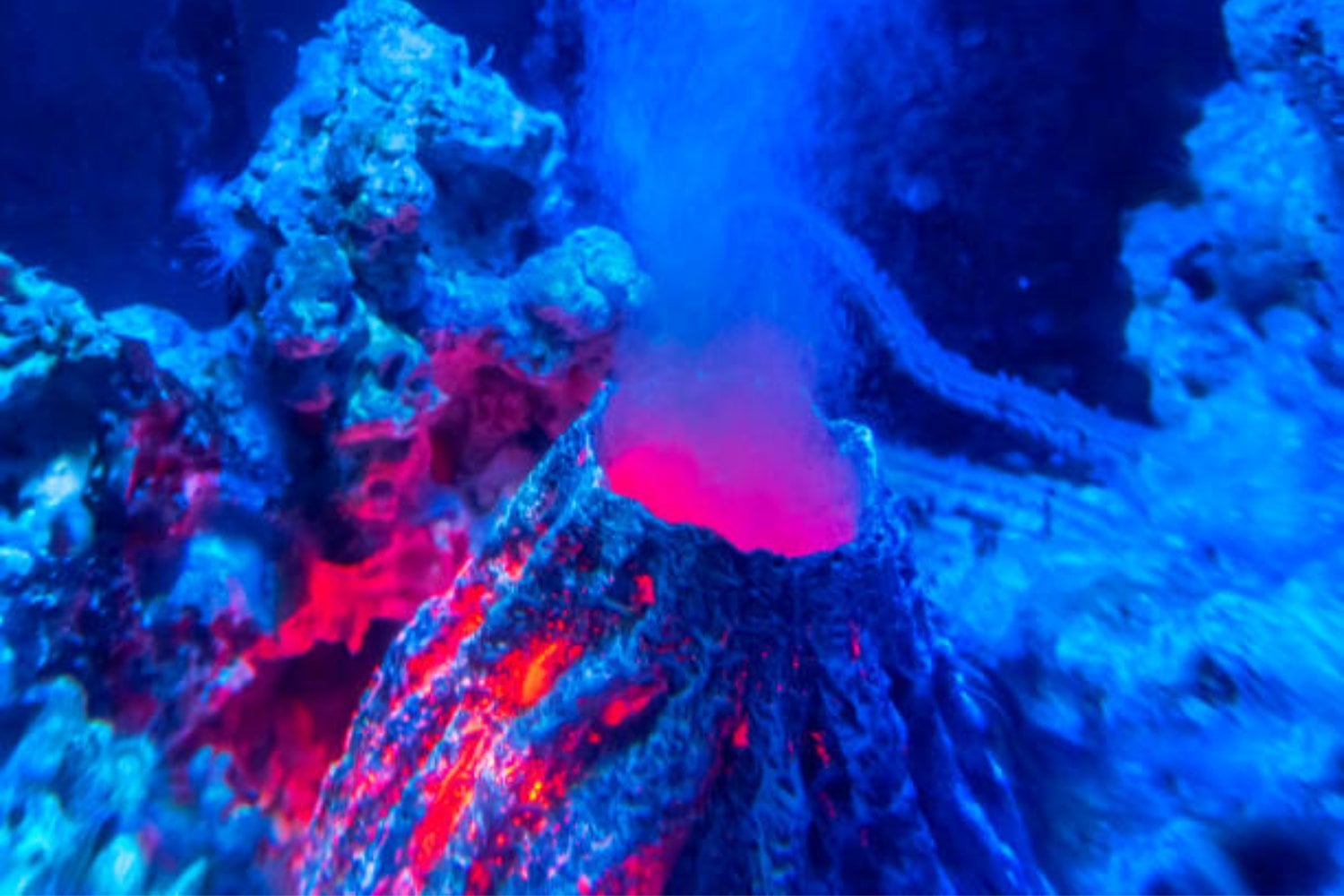 Un volcán oculto bajo el Ártico podría cambiar lo que sabemos del clima y la vida marina