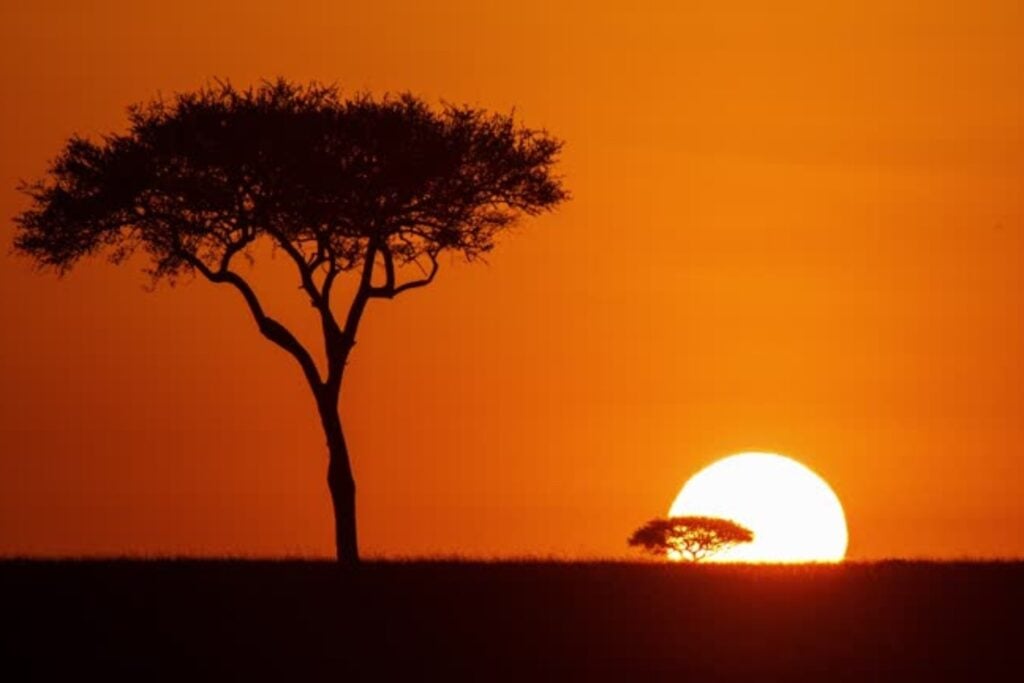 Por qué el cielo cambia de color naranja al amanecer y al atardecer: la ciencia detrás del fenómeno