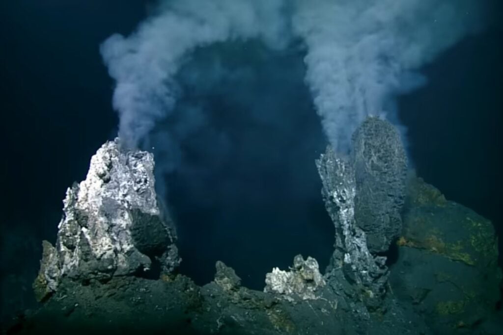 Huevos gigantes en las profundidades: el misterio submarino que dejó a los científicos sin palabras