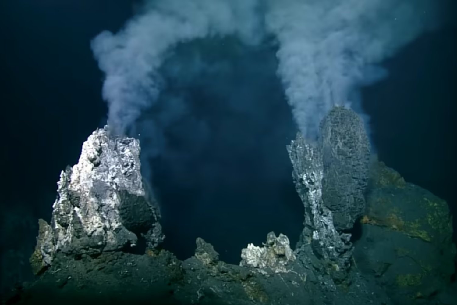 Huevos gigantes en las profundidades: el misterio submarino que dejó a los científicos sin palabras