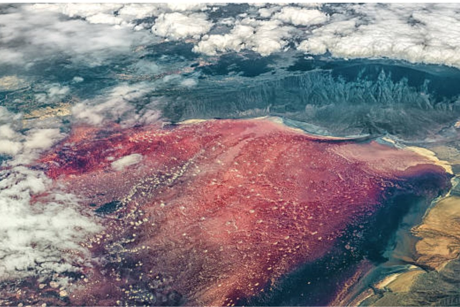 Lago Natrón, en Tanzania; El lago misterioso que "petrifica" animales y alcanza temperaturas extremas