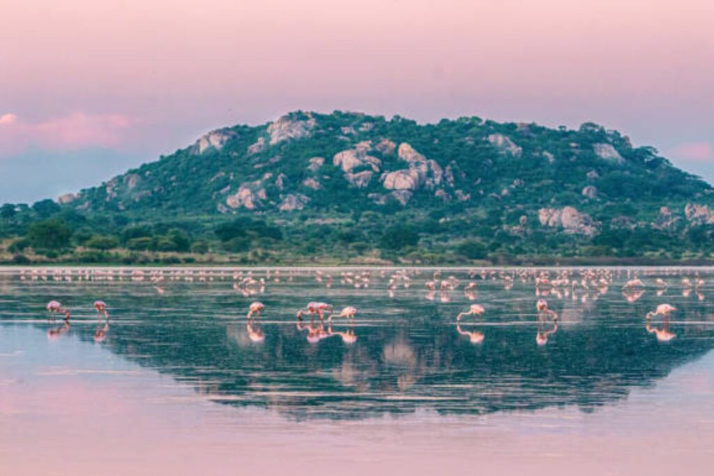 Lago Natrón, en Tanzania; El lago misterioso que "petrifica" animales y alcanza temperaturas extremas