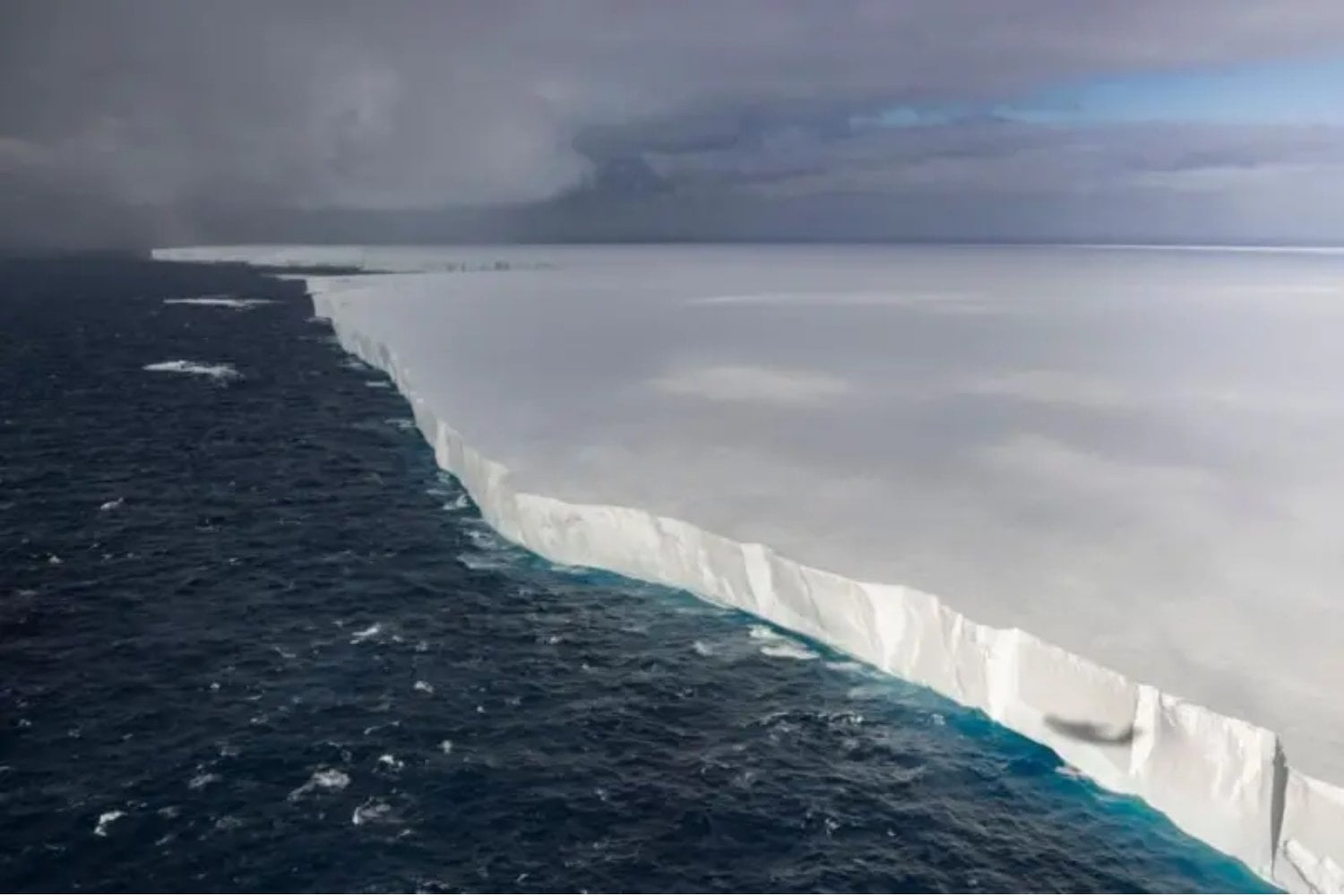El iceberg más grande del mundo se detiene: ¿qué significa para la fauna y la pesca?